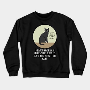 Why Does Your Cat Ignore You When You Call Their Name? Crewneck Sweatshirt